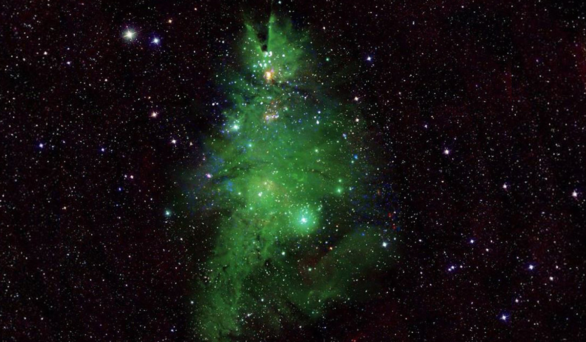 Christmas Tree